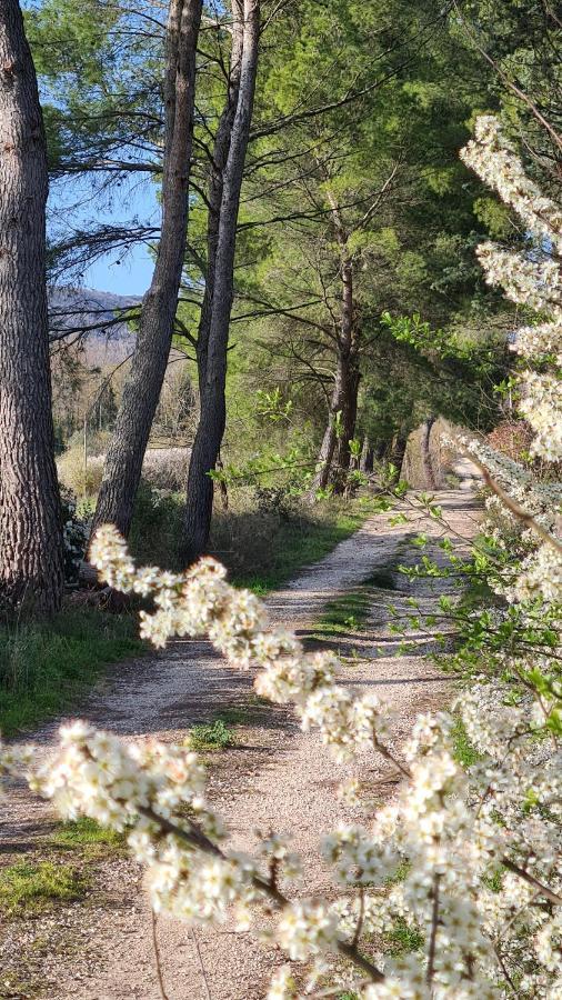 Colle Del Vento Leilighet Todi Eksteriør bilde